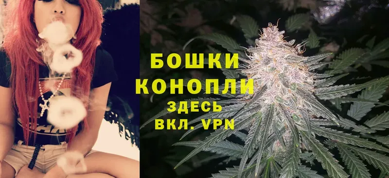 Канабис OG Kush  Козловка 